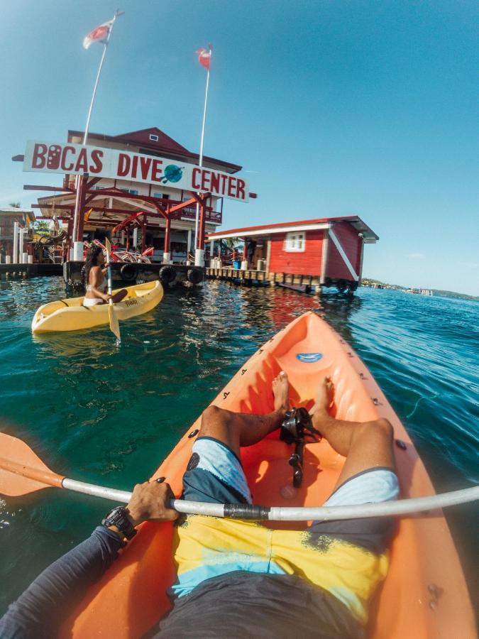 Divers Paradise Boutique Hotel Bocas Town Exterior foto